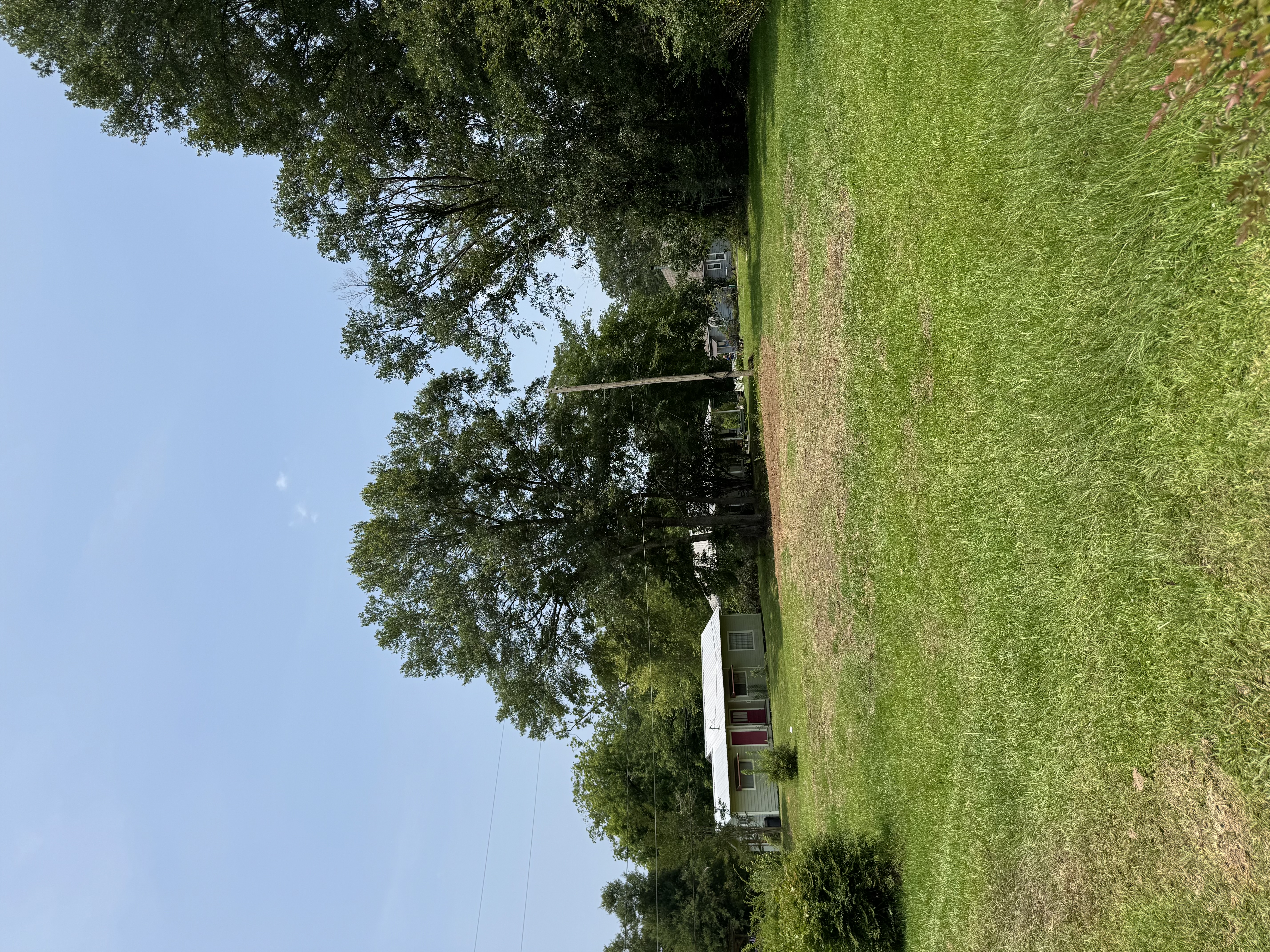 Tree removal project after work