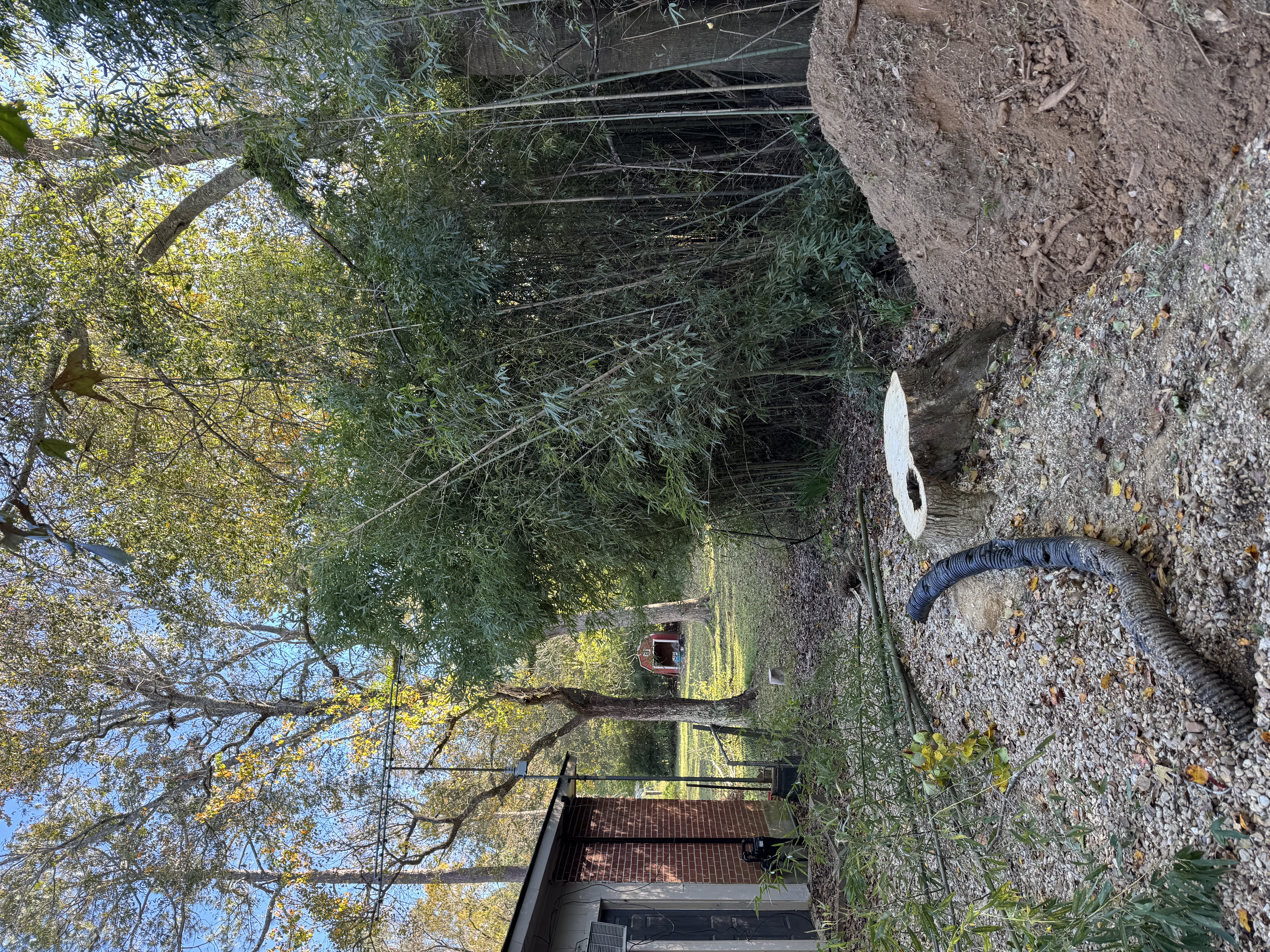 Lot clearing project after work