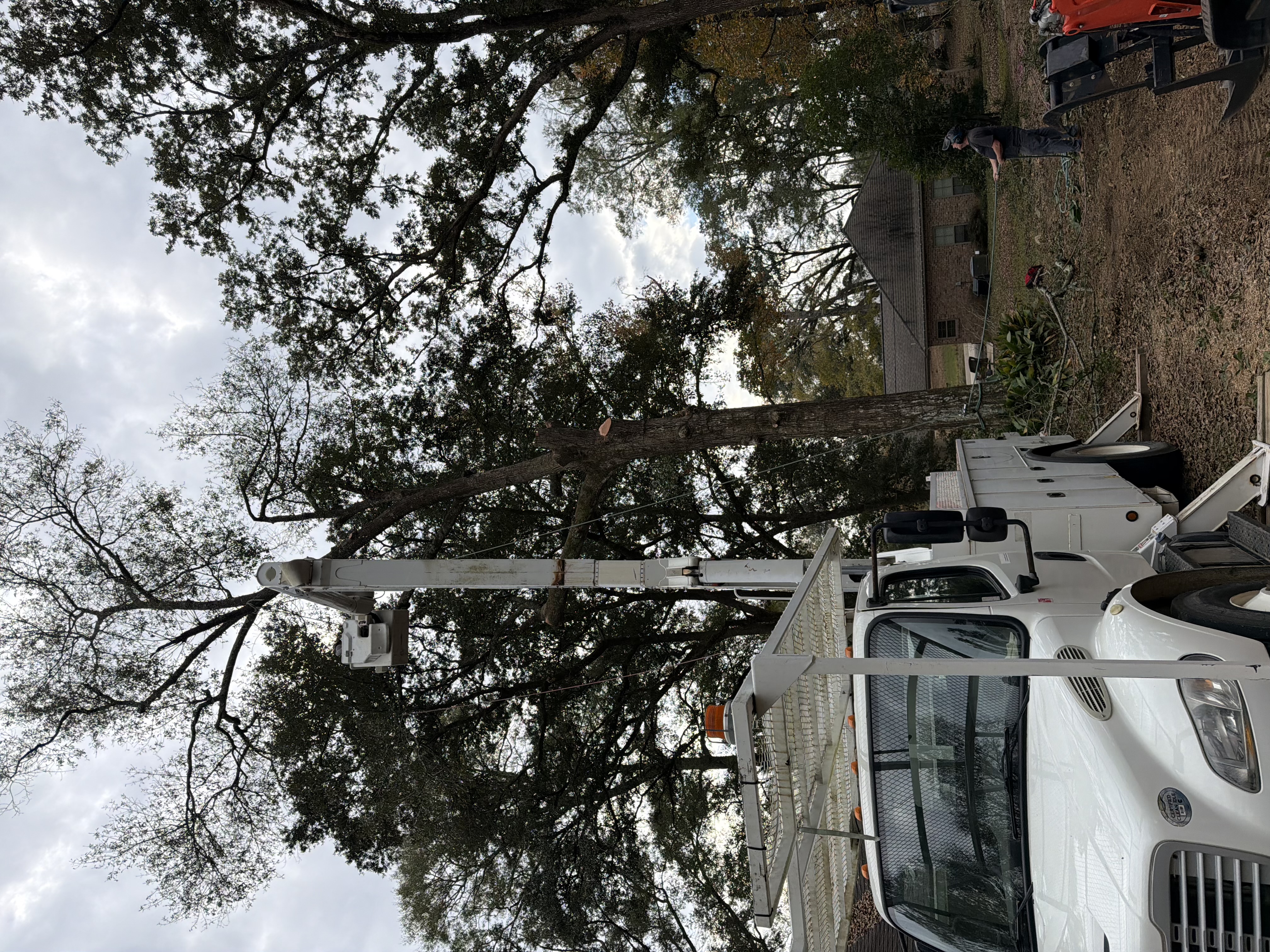 Storm damage cleanup before work